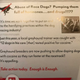 Image for article titled My Idiot State Senator Is Campaigning On Coke Dogs